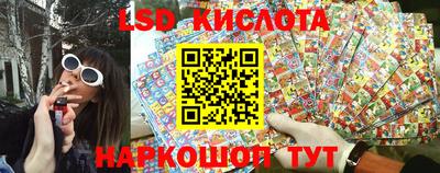 ешки Гатчина