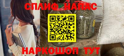 ешки Гатчина