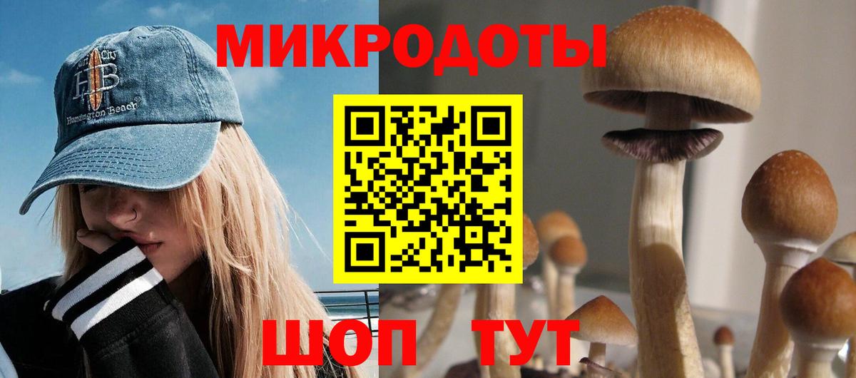 Галлюциногенные грибы мухоморы Камышин