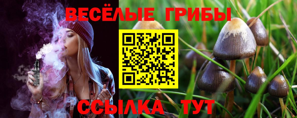 LSD-25 Камышин